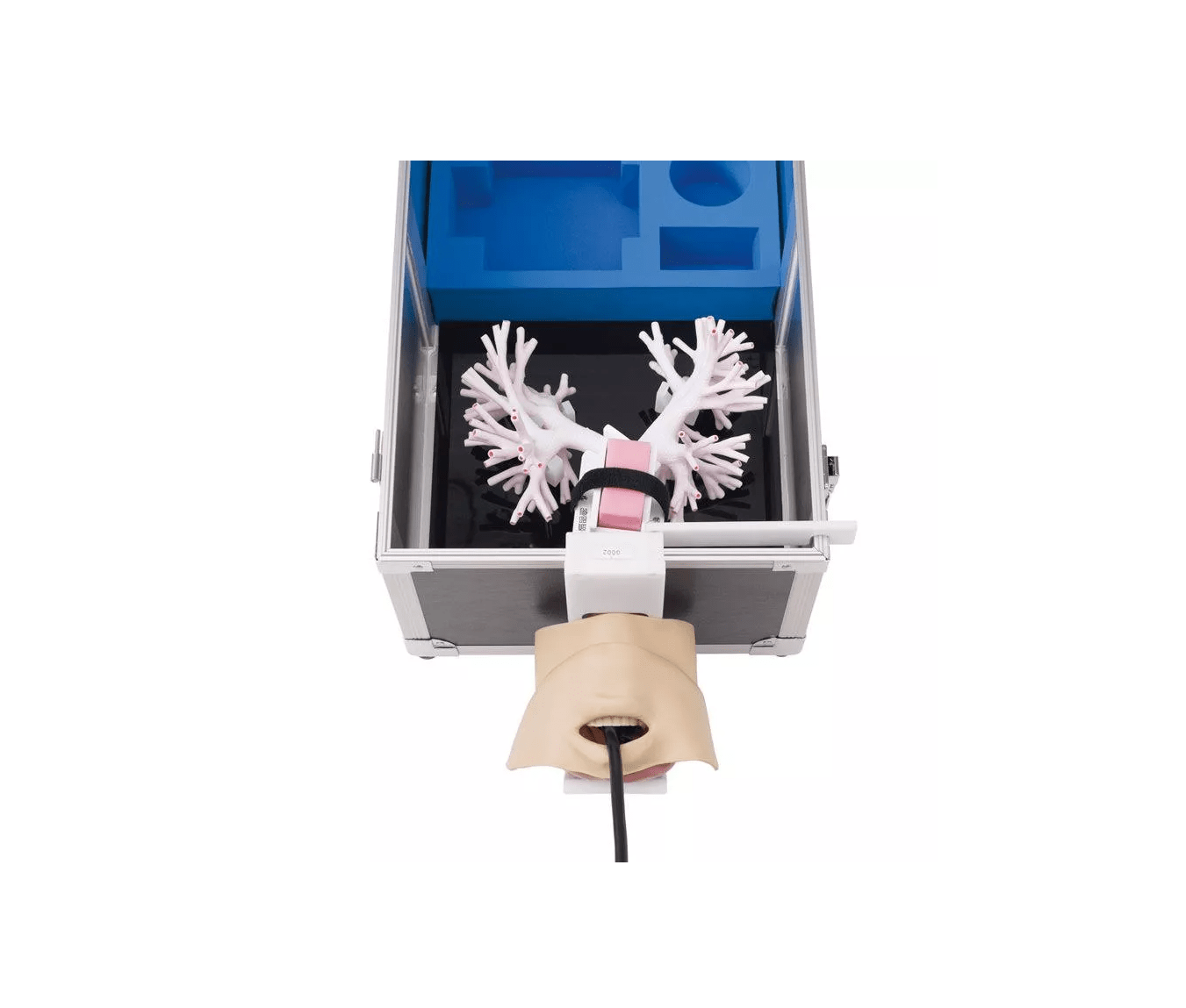 Ultraschall - Bronchoskopie - Trainer - Erler - Zimmer